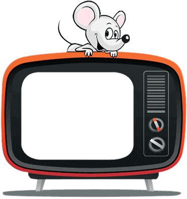 custom web design and development, animation web design Creative Website Designing Company in Delhi