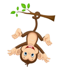 web design and Development Company Creative, Animated, Website Designing & development Company